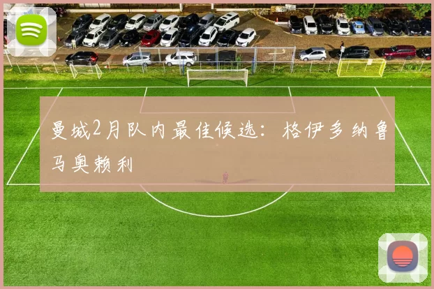 曼城2月队内最佳候选：格伊多纳鲁马奥赖利