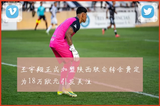 王宇翔正式加盟陕西联合转会费定为18万欧元引发关注