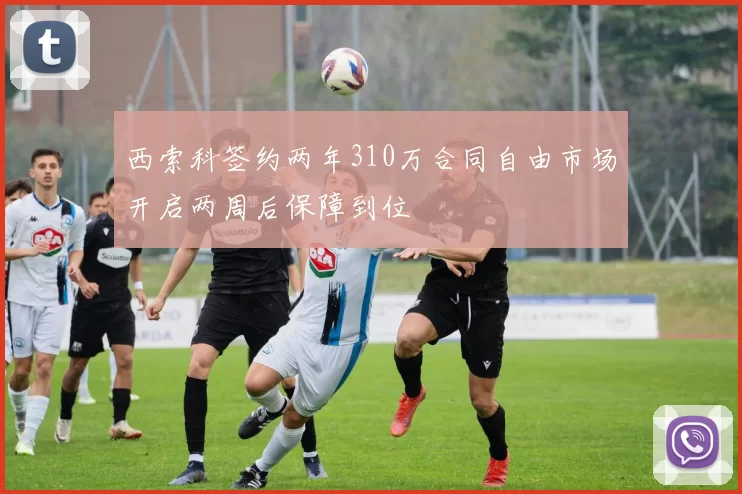 西索科签约两年310万合同自由市场开启两周后保障到位