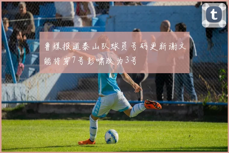 鲁媒报道泰山队球员号码更新谢文能将穿7号彭啸改为3号