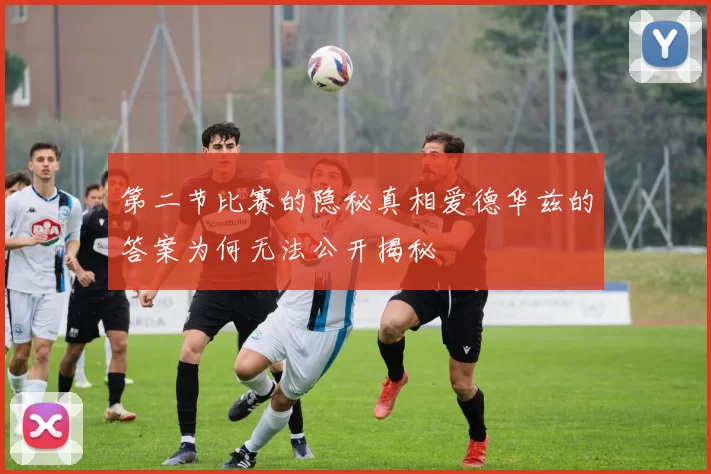 第二节比赛的隐秘真相爱德华兹的答案为何无法公开揭秘